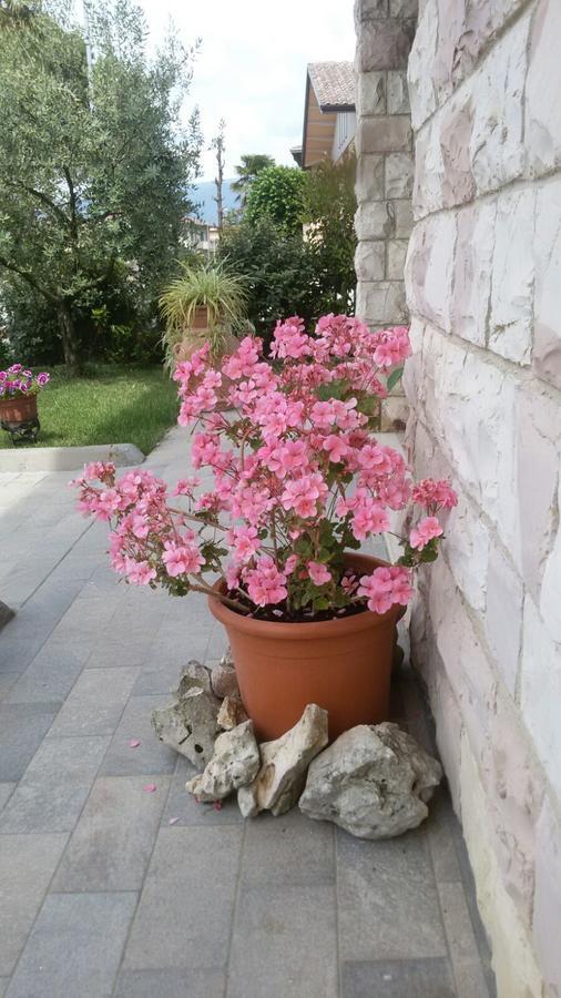 CannaraLa Residenza Di Baccoアパートメント エクステリア 写真